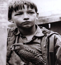 Kes