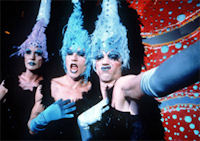 The Adventures of Priscilla, Queen of the Desert