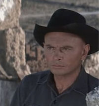 Return of the Magnificent Seven