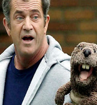 The Beaver