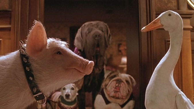 Babe Pig in the City