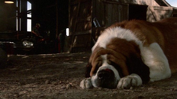 Cujo 4K