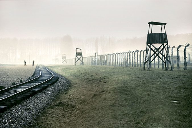 Night and Fog