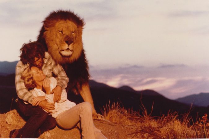 Roar