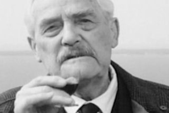 Wild Strawberries